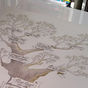 albero genealogico